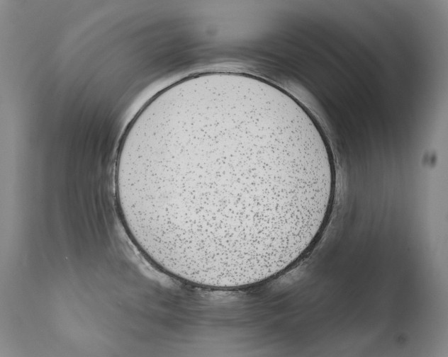 X0000110721436200907101353