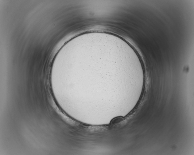 X0000110721437200907101353