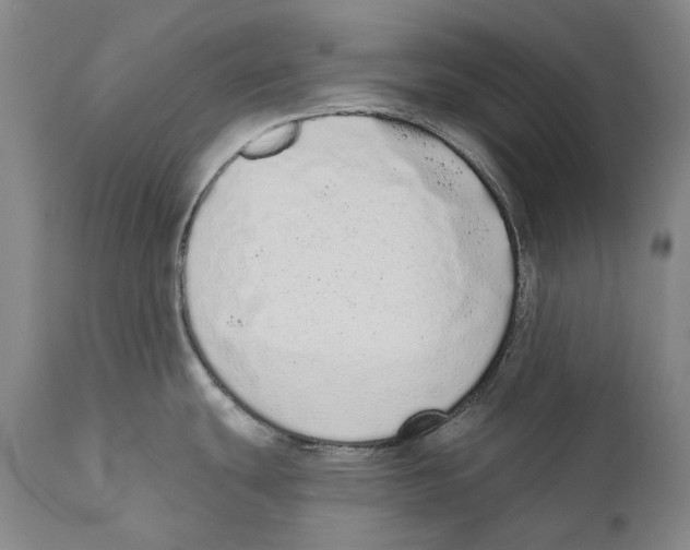 X0000110721439200907101353