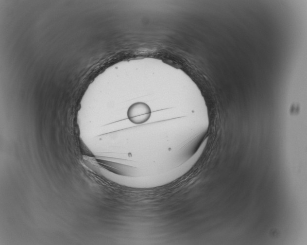 X0000110721441200907101353