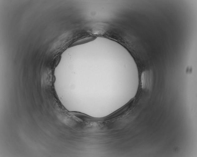 X0000110721443200907101352