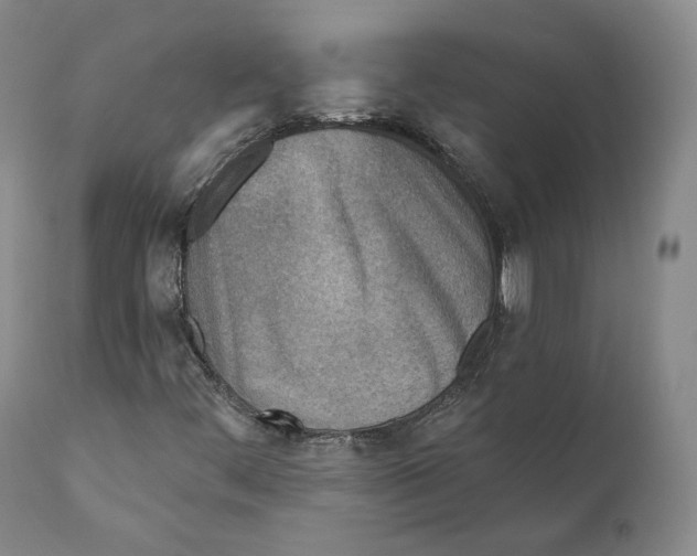 X0000110721444200907101352