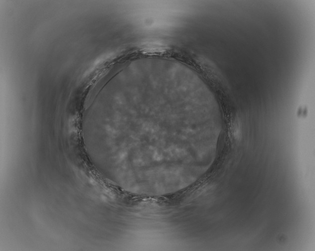 X0000110721445200907101352