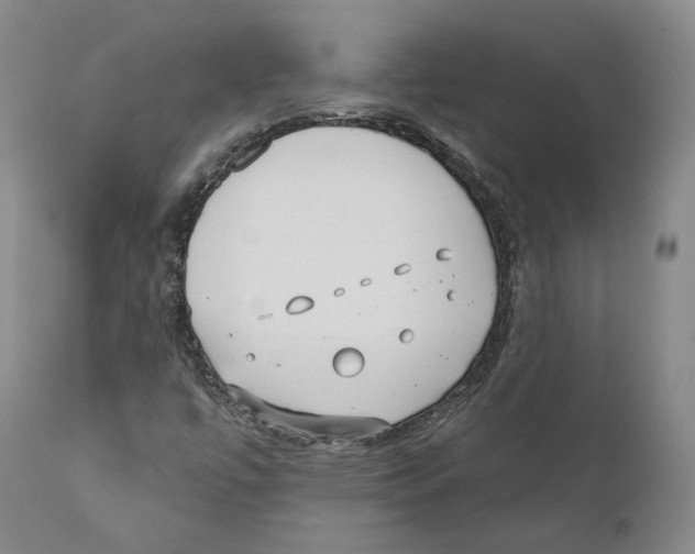 X0000110721447200907101352