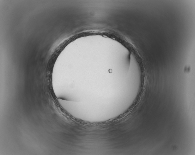 X0000110721448200907101352