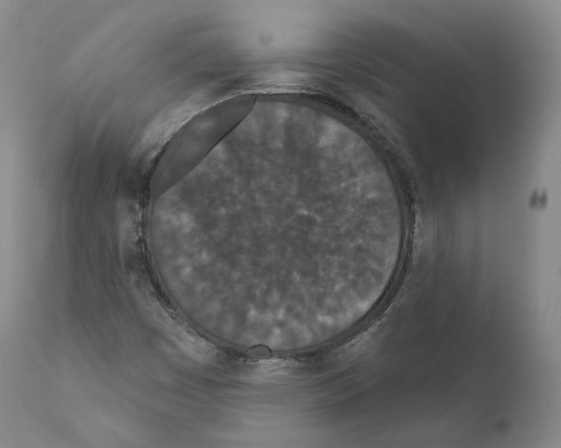 X0000110721449200907101352