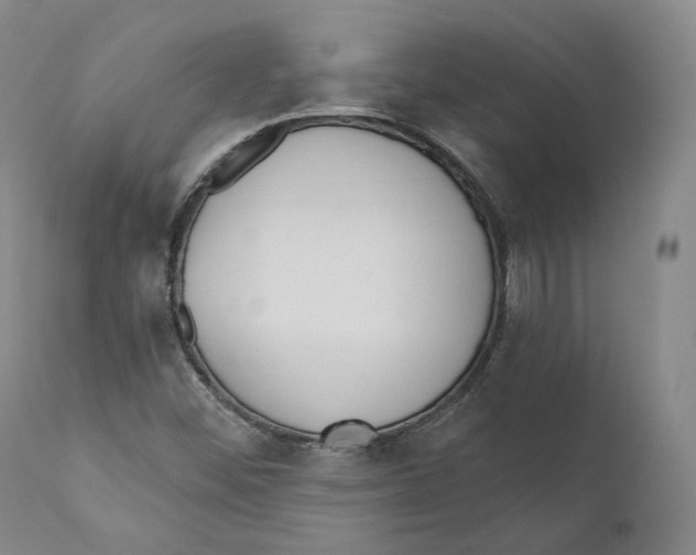 X0000110721452200907101352