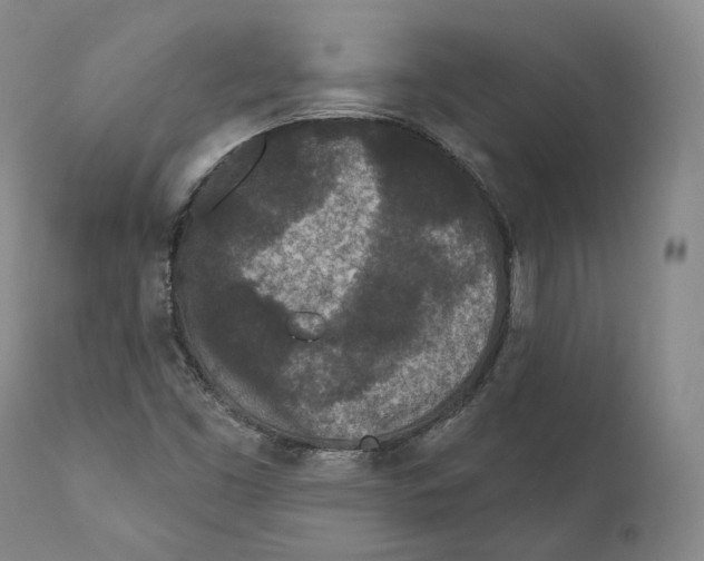 X0000110721453200907101352