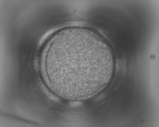 X0000110721454200907101352