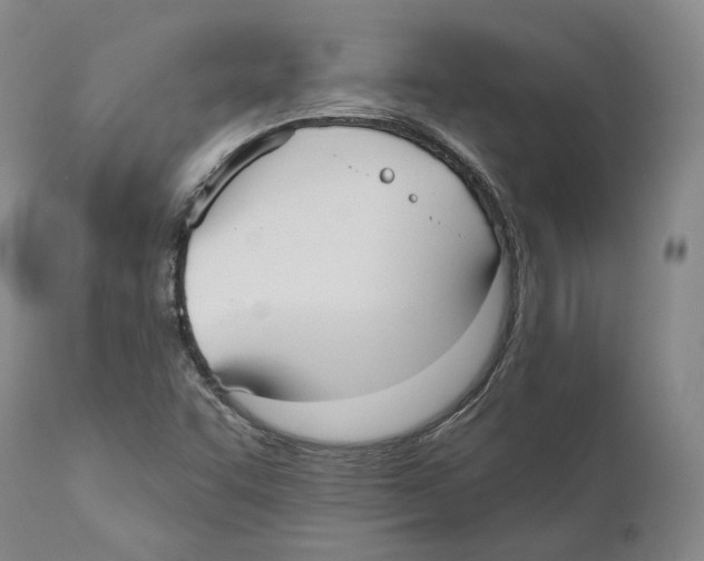 X0000110721455200907101352