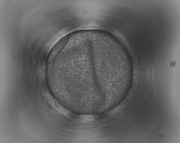 X0000110721457200907101352