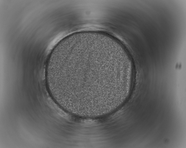 X0000110721459200907101352