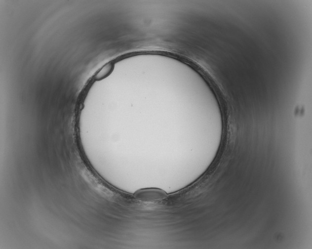 X0000110721460200907101352