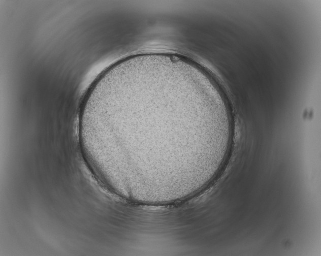 X0000110721461200907101352