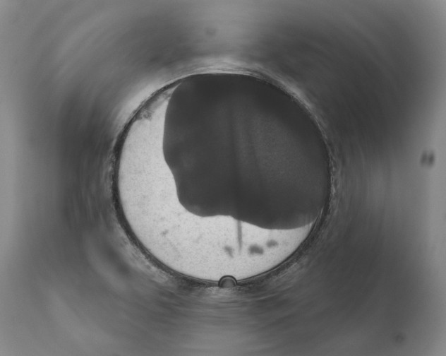 X0000110721463200907101352