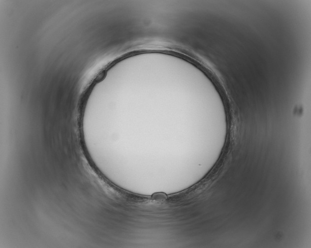 X0000110721464200907101352