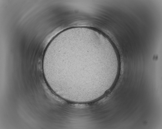 X0000110721465200907101352