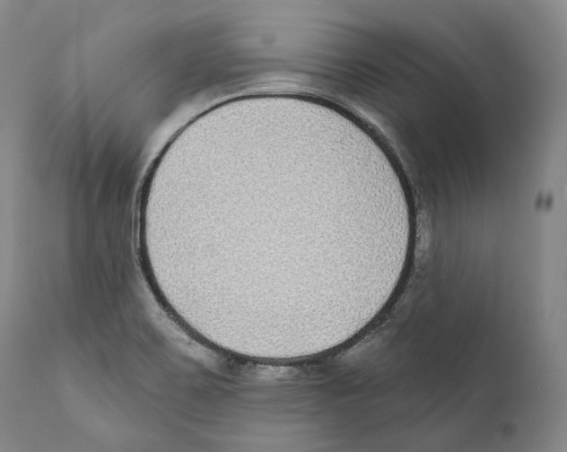 X0000110721467200907101352