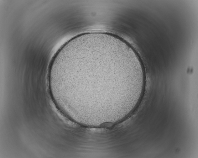 X0000110721469200907101352