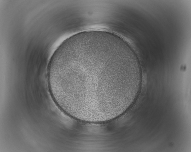 X0000110721470200907101352