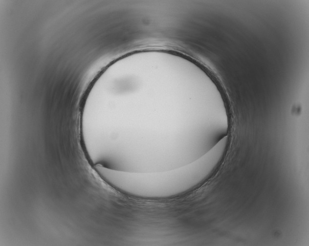 X0000110721472200907101352