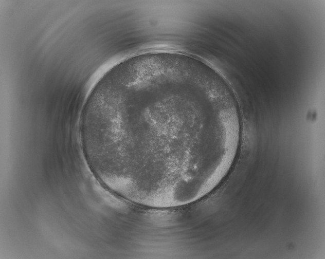 X0000110721474200907101352