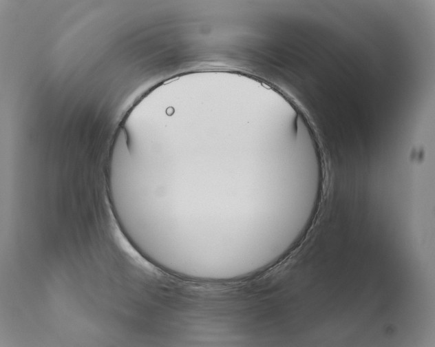 X0000110721476200907101352