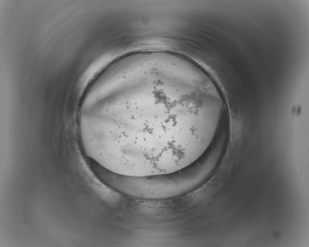 X0000110721477200907101352