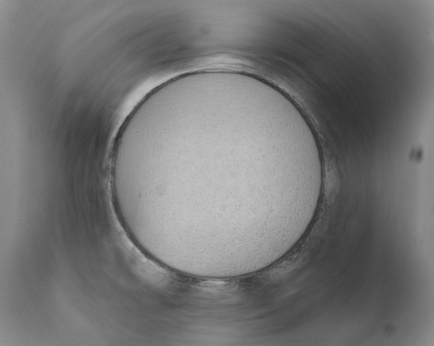 X0000110721478200907101352