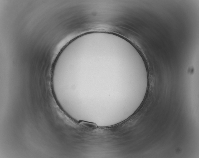 X0000110721480200907101352