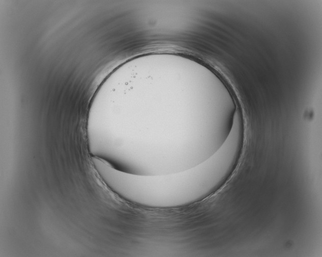 X0000110721481200907101352