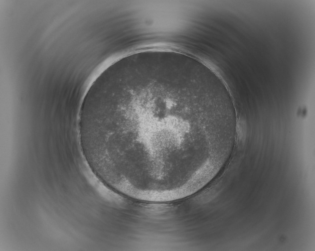 X0000110721482200907101352