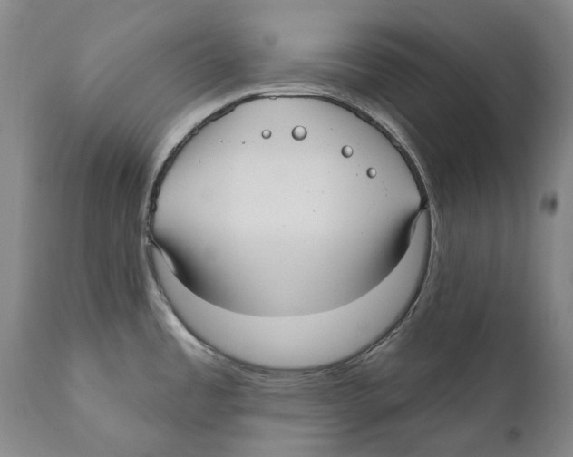 X0000110721485200907101352