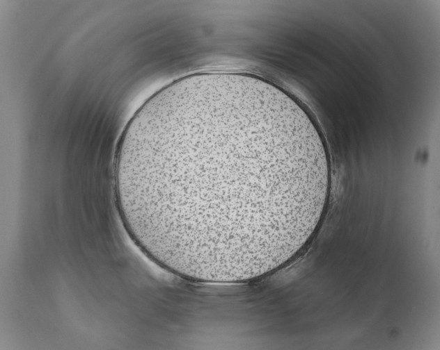 X0000110721487200907101352