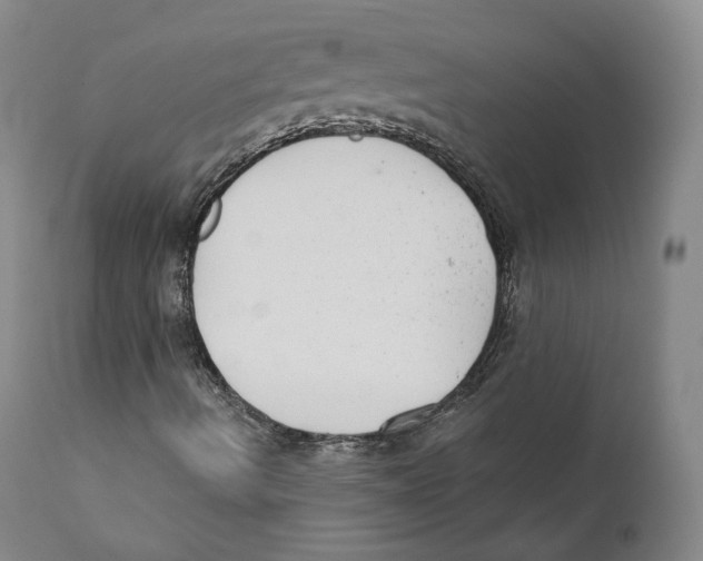 X0000110721490200907101351