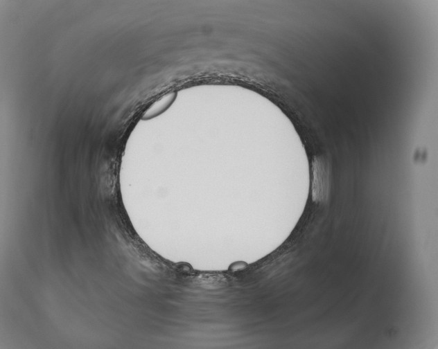 X0000110721491200907101351