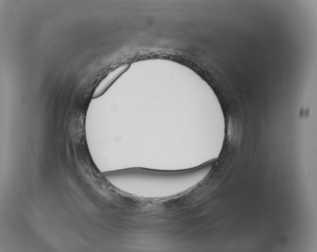 X0000110721492200907101351