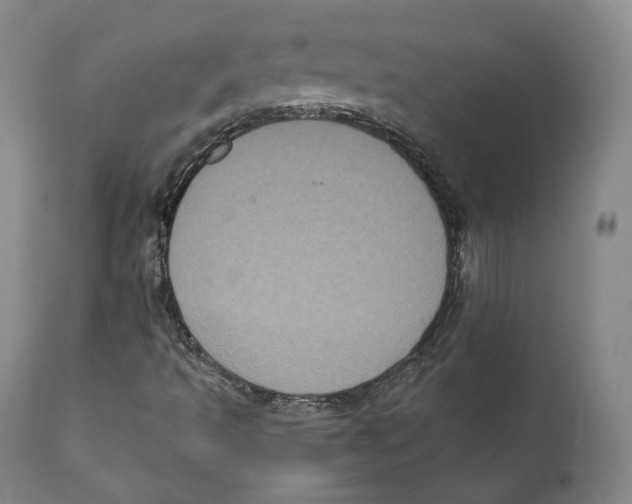 X0000110721493200907101351