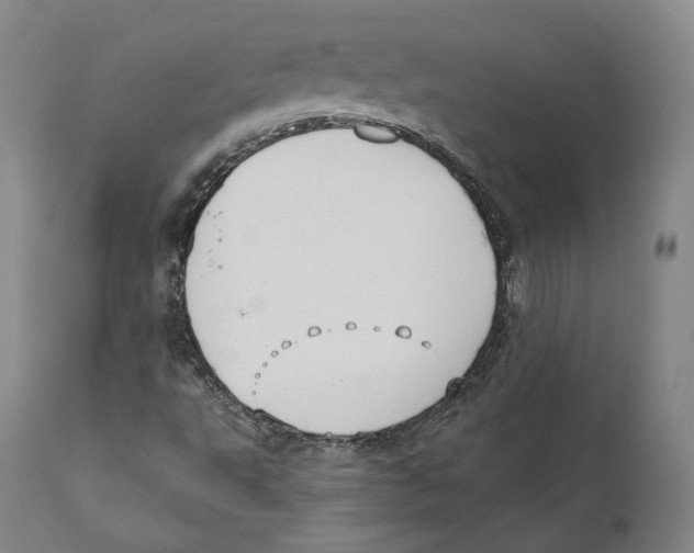 X0000110721495200907101351