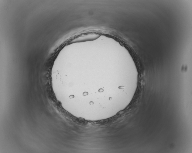 X0000110721496200907101351