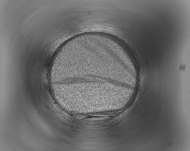 X0000110721497200907101351