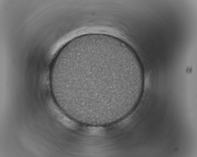 X0000110721498200907101351