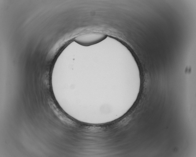 X0000110721499200907101351