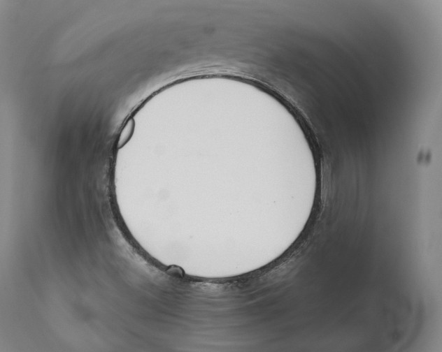 X0000110721500200907101351