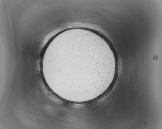 X0000110721501200907101351