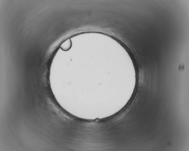 X0000110721502200907101351