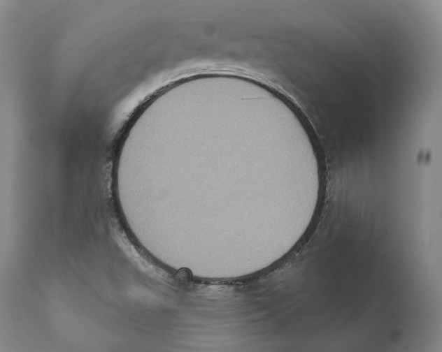 X0000110721503200907101351