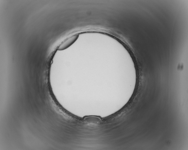 X0000110721504200907101351