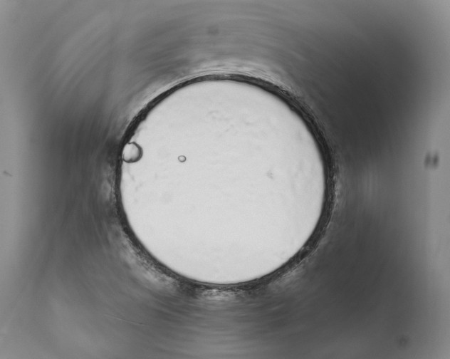 X0000110721505200907101351