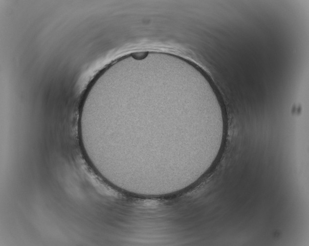 X0000110721507200907101351